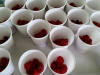 maline4_v_loncku