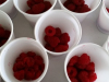 maline5_v_loncku
