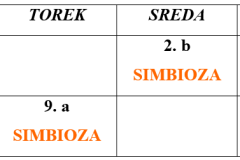 SIMBIOZA