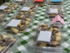 bazar-2015-100