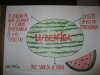 lubenica